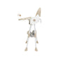 SKU: C8-H-604 | Color: Beige | Imagen: 3