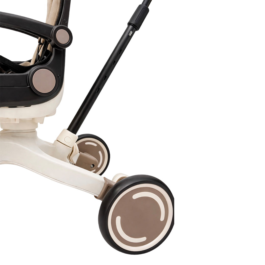 SKU: PQ-101 | Color: Cafe | Imagen: 8