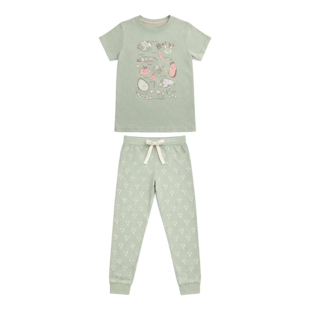 SKU: CGJ-2572135 | Color: Verde matcha | Imagen: 1