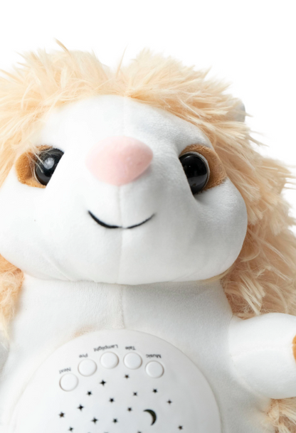 Peluche Erizo con más de 4 funciones